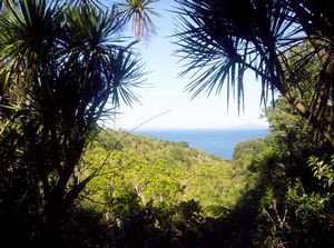 Image of tiritirimatangi05guidedwalkview2.jpg