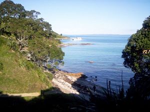 Image of tiritirimatangi05hobbsbeach.jpg