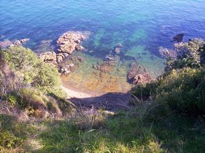 Image of tiritirimatangi05pabeach.jpg
