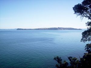 Image of tiritirimatangi05paview.jpg