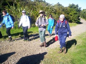 Image of tiritirimatangi05trampers.jpg