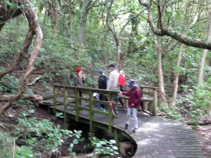 Image of tiritirisep18b.jpg