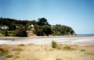 Image of titirangi03titirangibeach2.jpg