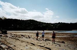Image of titirangi03woodbay.jpg