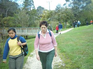 Image of titirangi04kaurilandsdomain.jpg