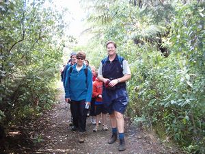 Image of titirangi04kawaglade.jpg