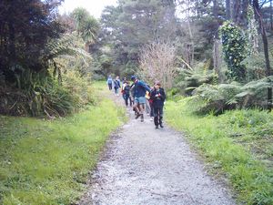 Image of titirangi04kawaglade2.jpg