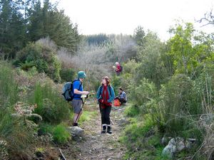 Image of tn_bbwhakamaru08gctrack.jpg