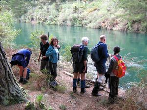 Image of tn_bbwhakamaru08gmrest.jpg