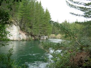 Image of tn_bbwhakamaru08gnriver.jpg