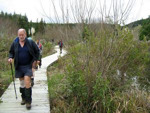 Image of tn_bbwhakamaru08hfboardwalk.jpg