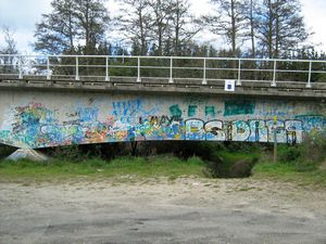 Image of tn_bbwhakamaru08idrailwayart.jpg