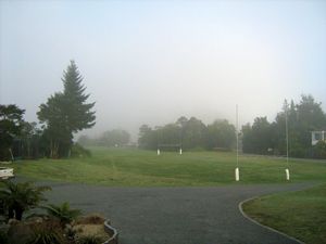 Image of tn_bbwhakamaru08nbfog.jpg