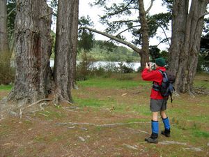 Image of tn_bbwhakamaru08qeflickyflack.jpg