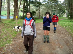 Image of tn_bbwhakamaru08qndog.jpg