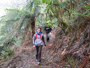 Image of tn_bbwhakamaru08qrtrack.jpg