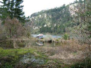 Image of tn_bbwhakamaru08tamaimai.jpg