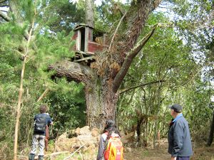 Image of tn_bbwhakamaru08tfhut.jpg