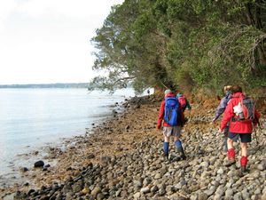 Image of tn_bchuia08becoast.jpg