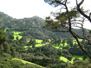 Image of tn_bchuia08cfview.jpg