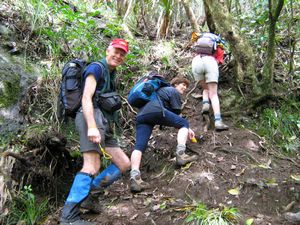 Image of tn_bchuia08ddroyal.jpg