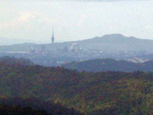 Image of tn_bchuia08gcskytower.jpg