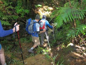 Image of tn_bchuia08habobgordontrack.jpg