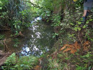 Image of tn_bchuia08hbdam.jpg