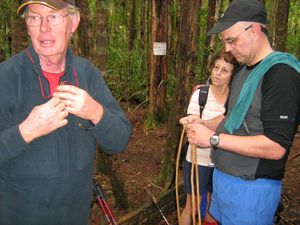 Image of tn_bchuia08icknotterel.jpg