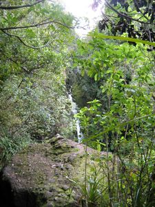 Image of tn_bchuia08jcfalls.jpg