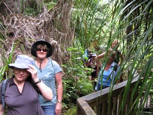 Image of tn_birkenheaddec08bcchatswoodreserve.jpg