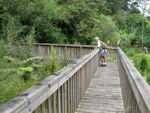 Image of tn_birkenheaddec08blbridge.jpg