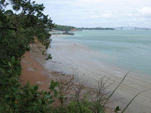 Image of tn_birkenheaddec08celookout.jpg