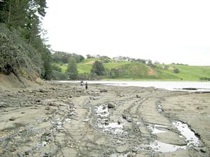 Image of tn_ebendofyear07becoast.jpg