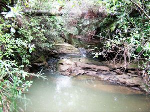 Image of tn_edgreenhithe07acwainonistream.jpg