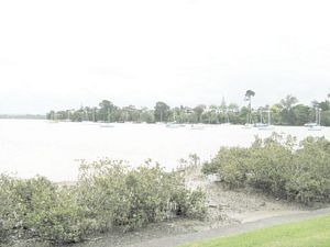 Image of tn_edgreenhithe07dcheraldisland.jpg