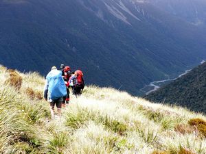 Image of tn_fakellyrange08q.jpg