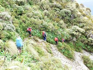 Image of tn_fakellyrange08t.jpg