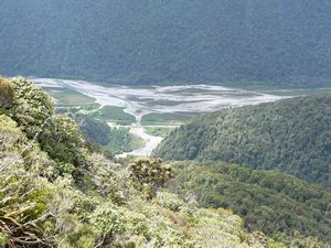 Image of tn_fakellyrange08y.jpg