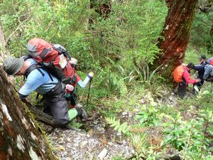 Image of tn_fakellyrange08za.jpg