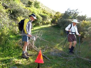 Image of tn_fmhurunui082d.jpg