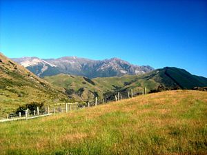 Image of tn_fmhurunui082e.jpg