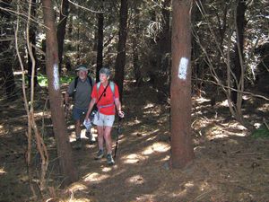 Image of tn_fmhurunui082m.jpg