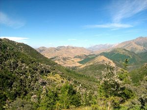 Image of tn_fmhurunui082o.jpg