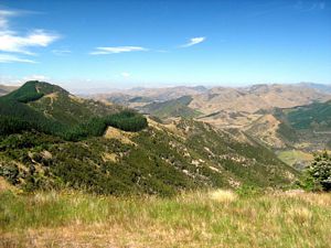 Image of tn_fmhurunui082q.jpg