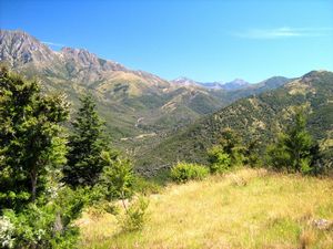 Image of tn_fmhurunui082r.jpg