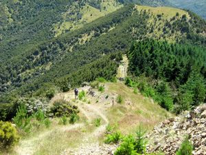 Image of tn_fmhurunui082t.jpg