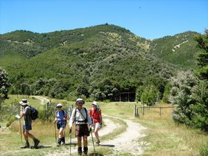 Image of tn_fmhurunui082y.jpg