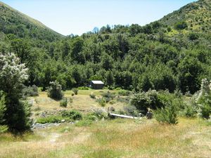 Image of tn_fmhurunui083g.jpg