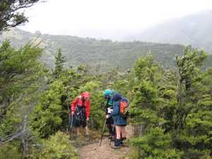 Image of tn_fmhurunui084d.jpg